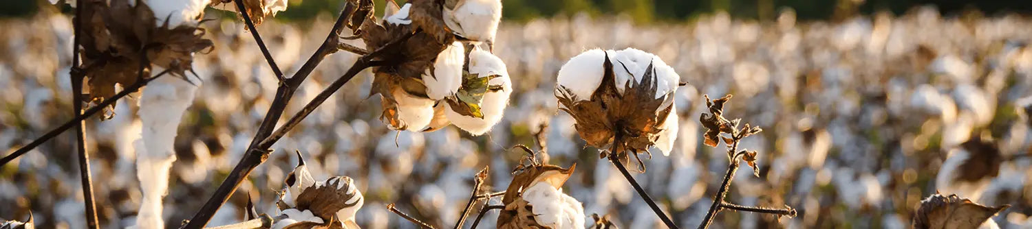 Cotton, Mother Nature’s <br>performance fabric