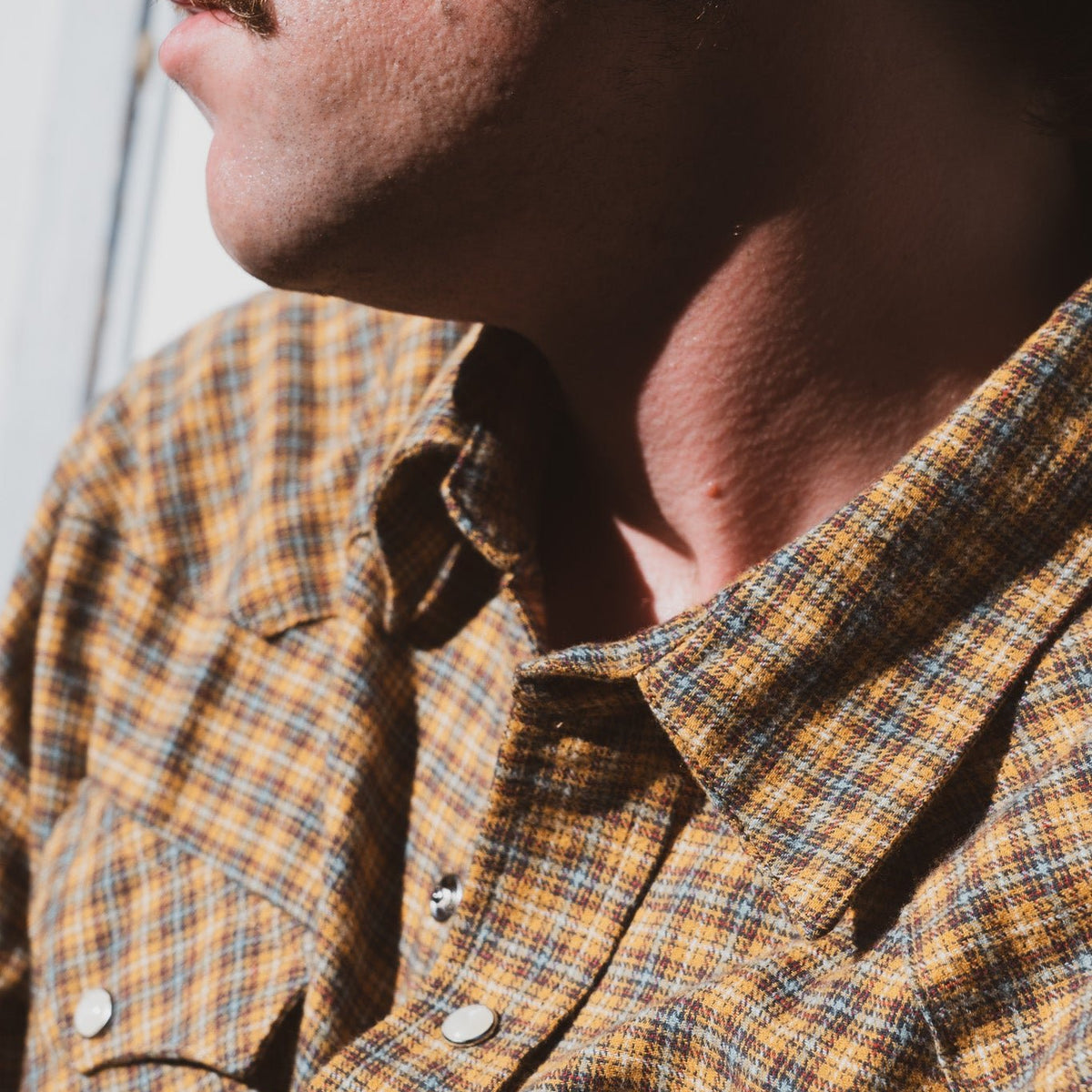 Shady Grove - Brazos Fine Shirts