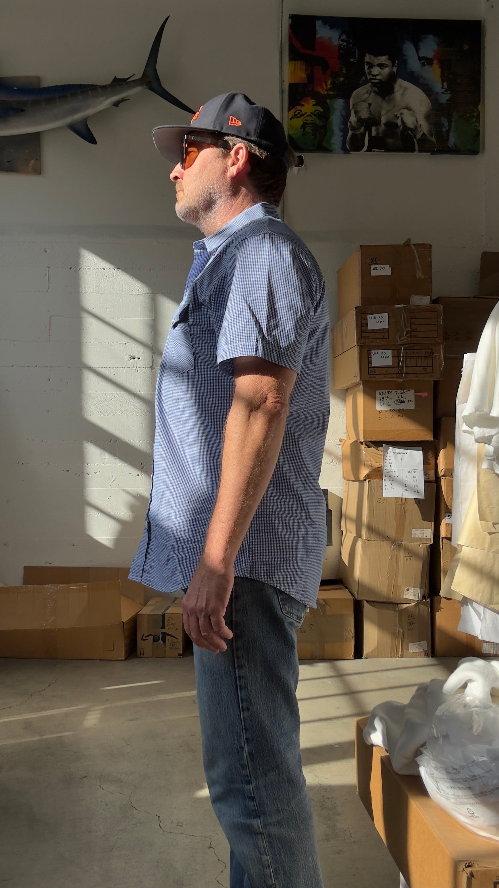 Pasadena Short Sleeve Micro Check - Brazos Fine Shirts